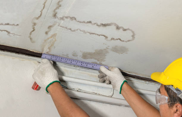 Reliable Structural Drying contractor in Franklin Furnace, OH by Water Damage Irwin